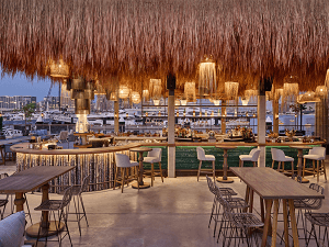 Bar in Dubai: Top 10 Ladies Nights in Dubai Enjoy Complimentary Drinks and More, Bar du Port Dubai, Seven Sisters, Koyo Tokyo, Canary Club, Torno Subito, Chi-town, Miss Lily's, STK Steakhouse, The Penthouse Dubai